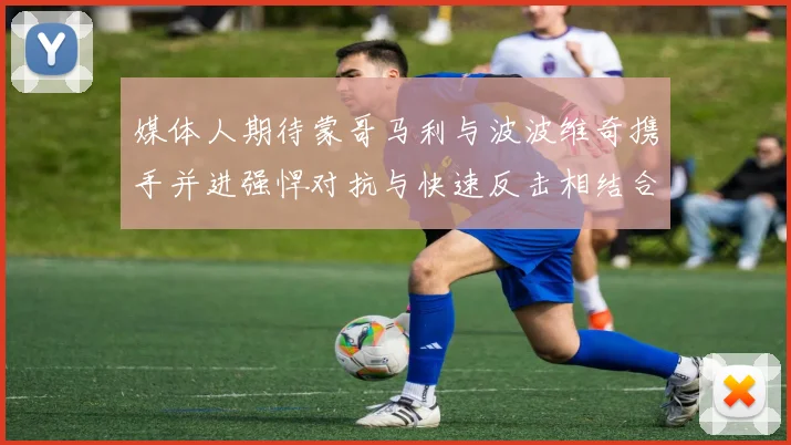 媒体人期待蒙哥马利与波波维奇携手并进强悍对抗与快速反击相结合